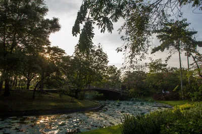Queen Sirikit Park, Bangkok
