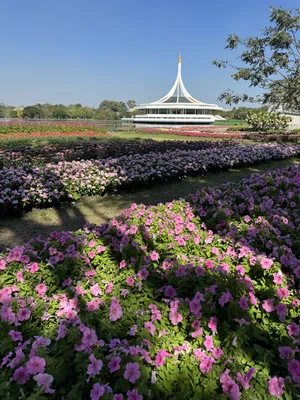 Suan Luang Rama IX, Bangkok